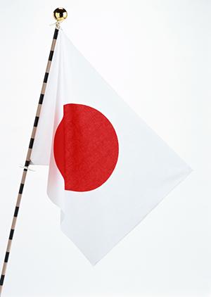 ガチャガチャの森：多彩な商品と楽しい体験を提供するお店の完全ガイド