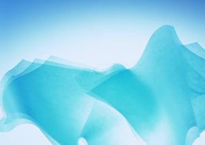 ガチャガチャの森：子供から大人まで楽しめる楽しいガチャ体験と店舗紹介